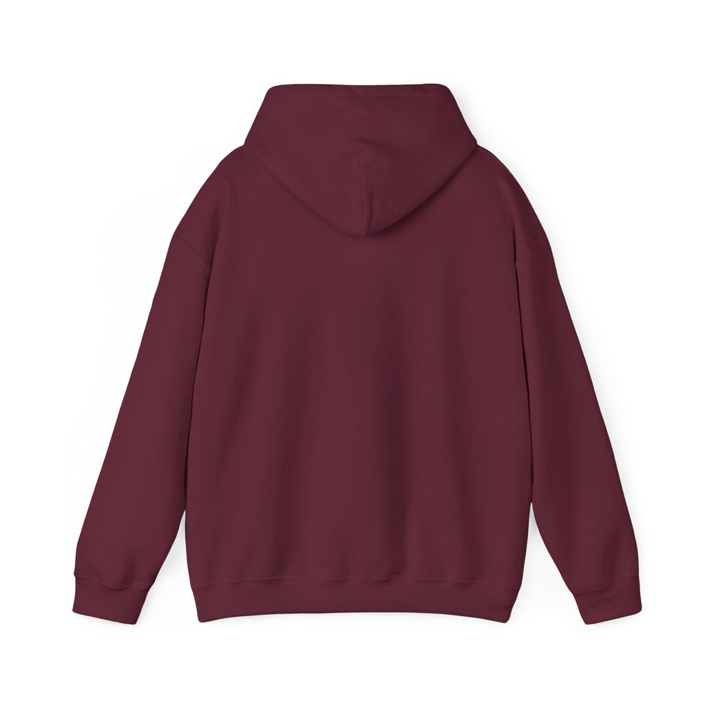Big Bear Lake Hoodie - "The Highest City in Southern California" Pullover